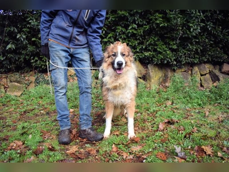 Kito - Irgendwas das bleibt