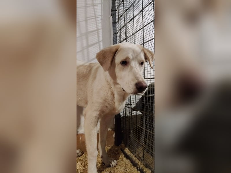 Clara - Wenn du es uns doch erzählen könntest