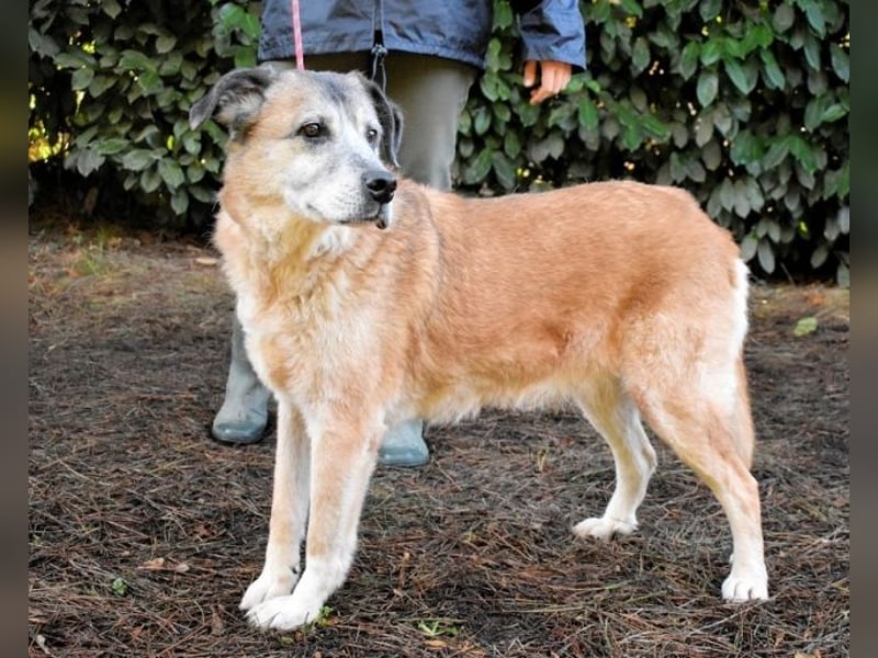 Matha - ...das war vor 5 Jahren... seitdem warte ich hier