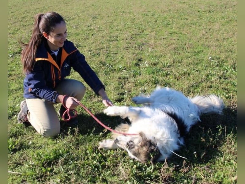 Poncio - wird zum Musterschüler