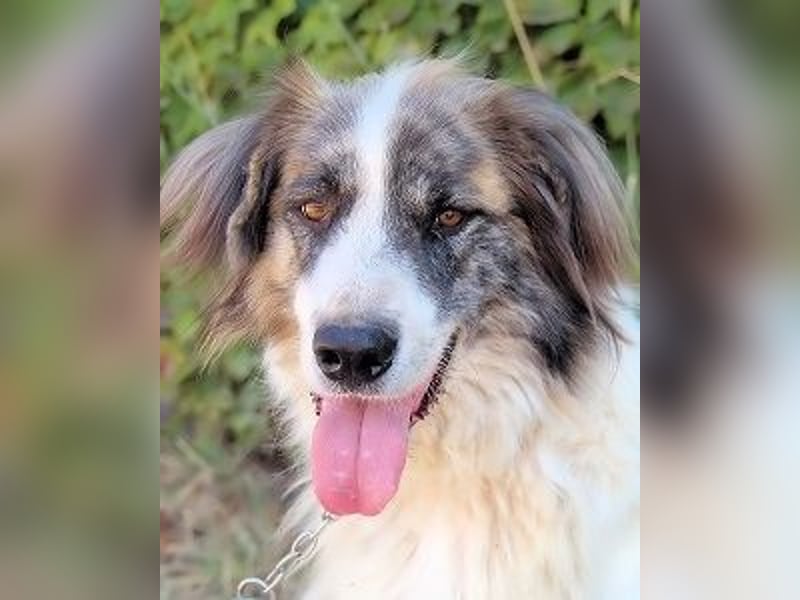 Poncio - wird zum Musterschüler