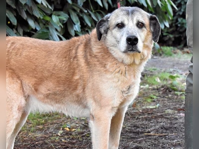 Matha - ...das war vor 5 Jahren... seitdem warte ich hier