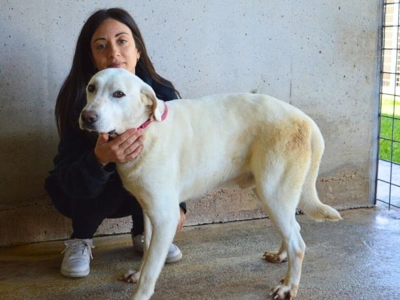 Armindo - aller guten Dinge sind drei