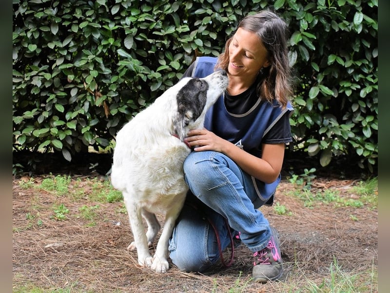 Archie - Die Hoffnung stirbt zuletzt