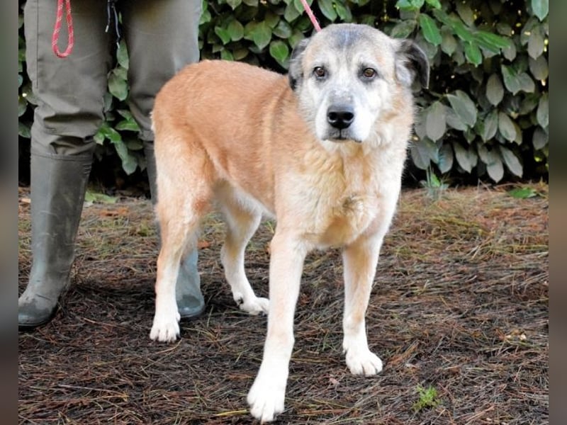 Matha - ...das war vor 5 Jahren... seitdem warte ich hier