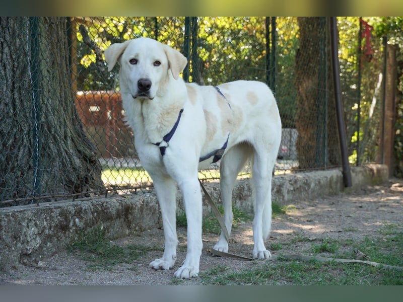 Clara - Wenn du es uns doch erzählen könntest