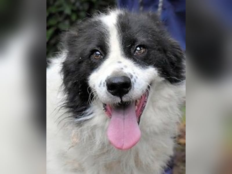 Rezart - Zusammen ist man weniger alleine