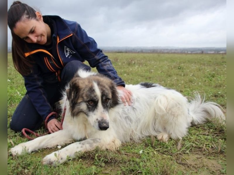 Poncio - wird zum Musterschüler