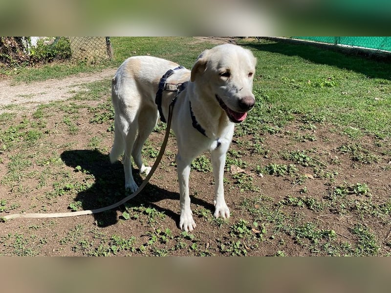 Clara - Wenn du es uns doch erzählen könntest