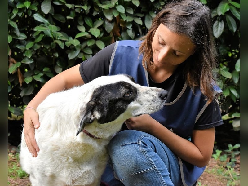 Archie - Die Hoffnung stirbt zuletzt