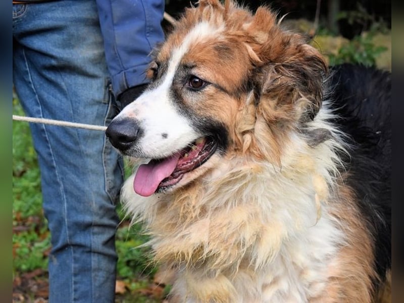 Kito - Irgendwas das bleibt