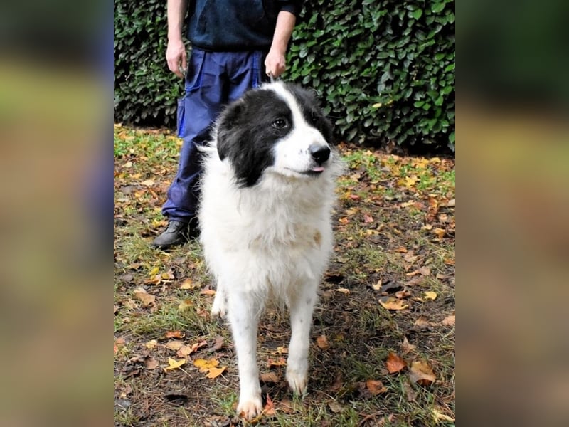 Rezart - Zusammen ist man weniger alleine