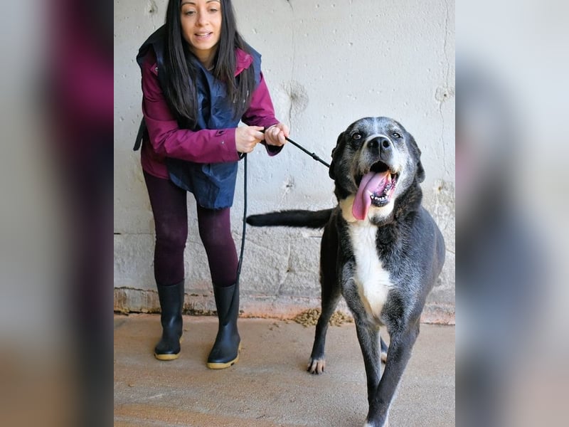 Annetta - NOTFALL - Seniorin braucht ganz dringend unsere Hilfe