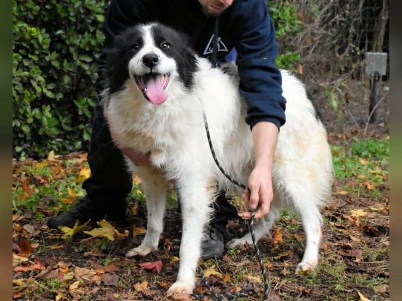 Rezart - Zusammen ist man weniger alleine