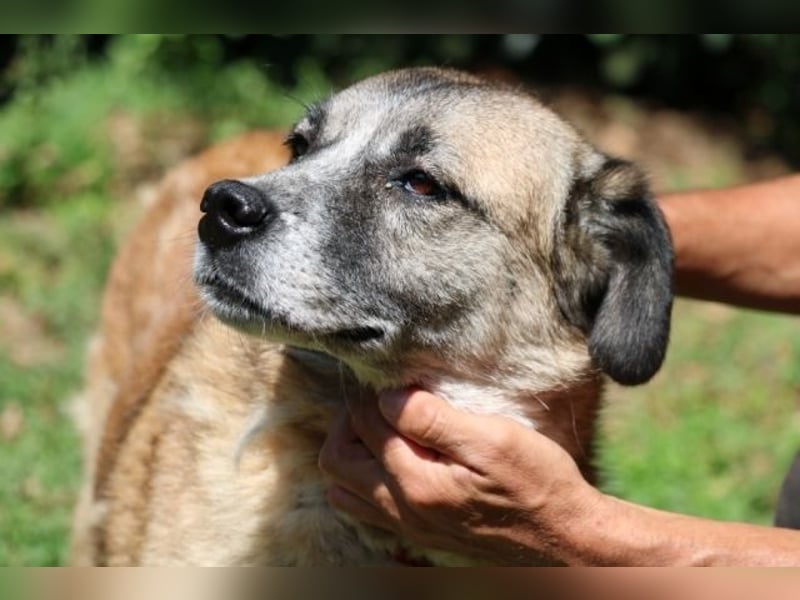 Matha - ...das war vor 5 Jahren... seitdem warte ich hier