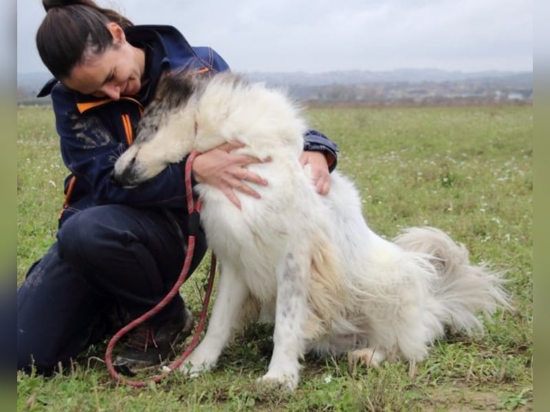 Poncio - wird zum Musterschüler
