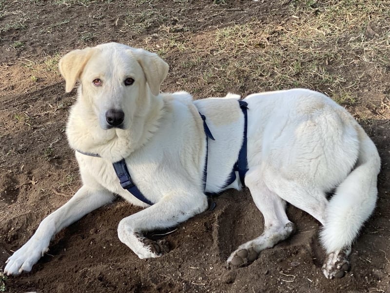 Clara - Wenn du es uns doch erzählen könntest