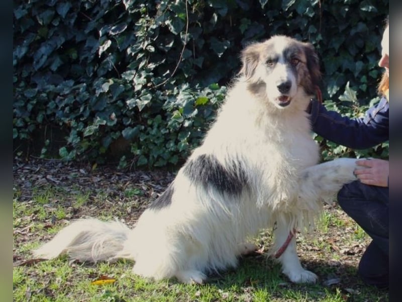 Poncio - wird zum Musterschüler