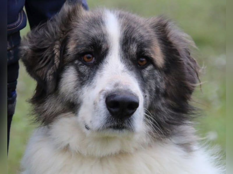 Poncio - wird zum Musterschüler