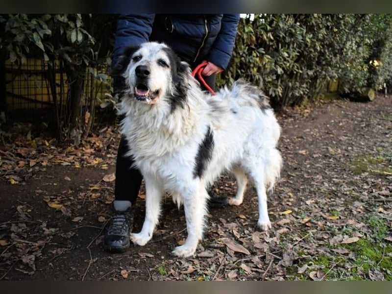 Daiana - der Beginn einer wunderbaren Freundschaft?