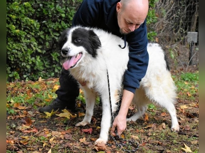 Rezart - Zusammen ist man weniger alleine