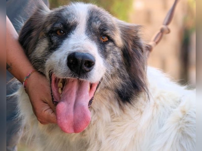 Poncio - wird zum Musterschüler