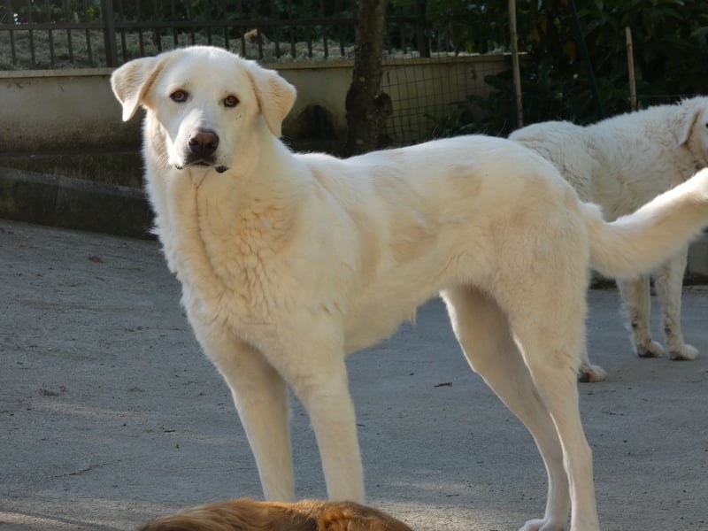 Clara - Wenn du es uns doch erzählen könntest