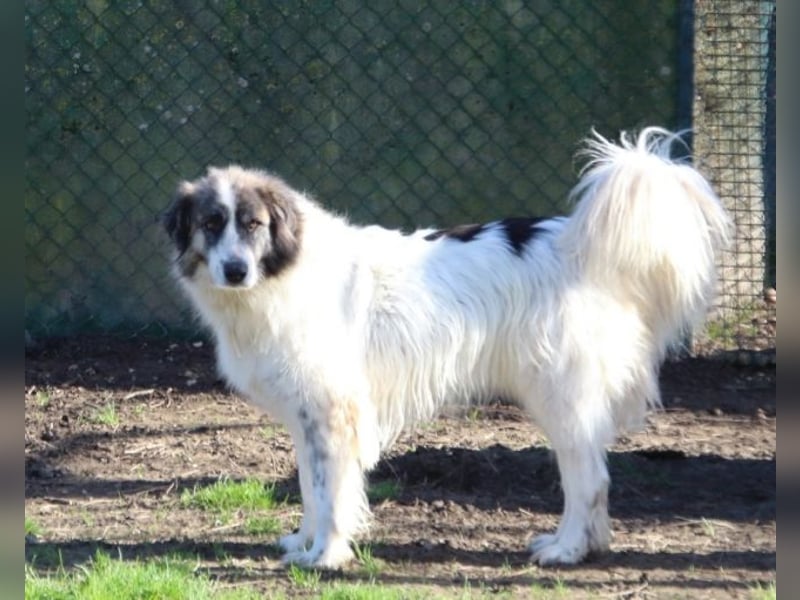 Poncio - wird zum Musterschüler