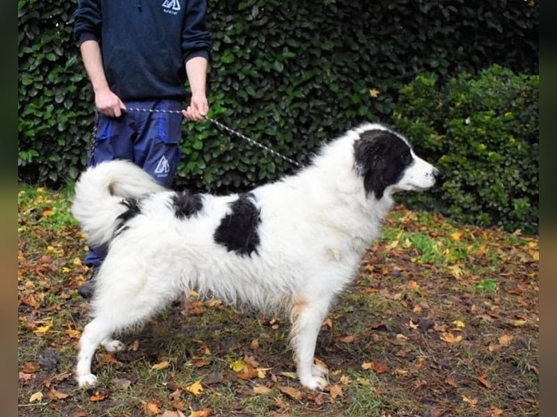 Rezart - Zusammen ist man weniger alleine