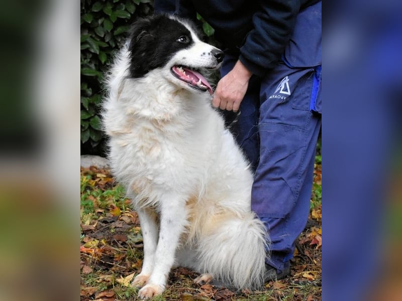 Rezart - Zusammen ist man weniger alleine