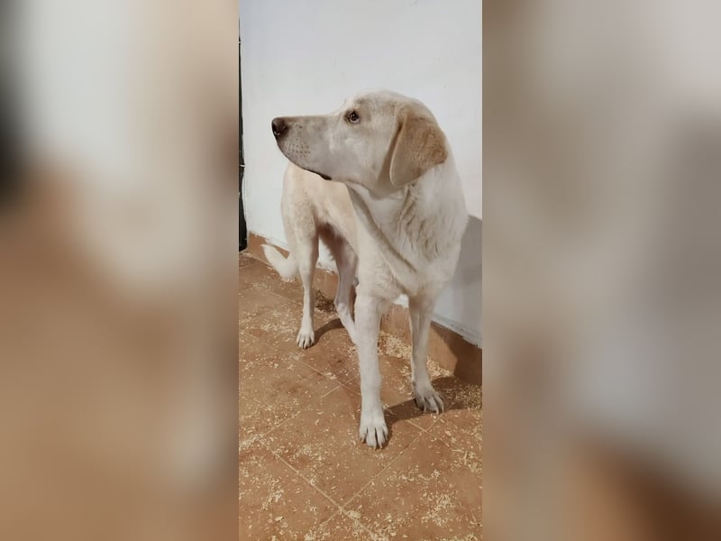 Clara - Wenn du es uns doch erzählen könntest