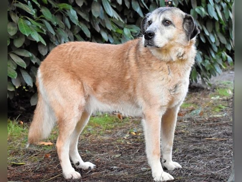 Matha - ...das war vor 5 Jahren... seitdem warte ich hier