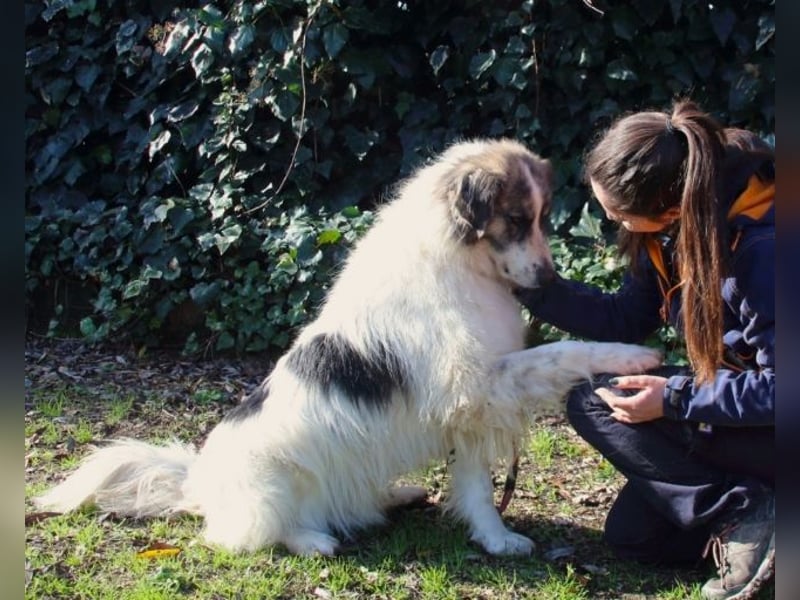 Poncio - wird zum Musterschüler