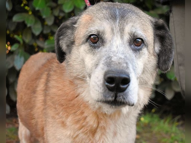 Matha - ...das war vor 5 Jahren... seitdem warte ich hier