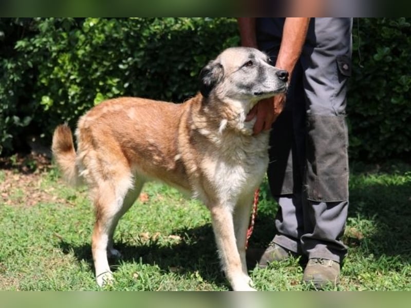 Matha - ...das war vor 5 Jahren... seitdem warte ich hier