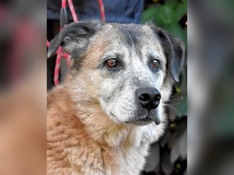 Matha - ...das war vor 5 Jahren... seitdem warte ich hier