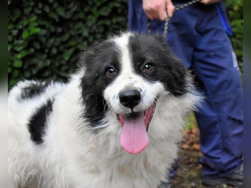 Rezart - Zusammen ist man weniger alleine