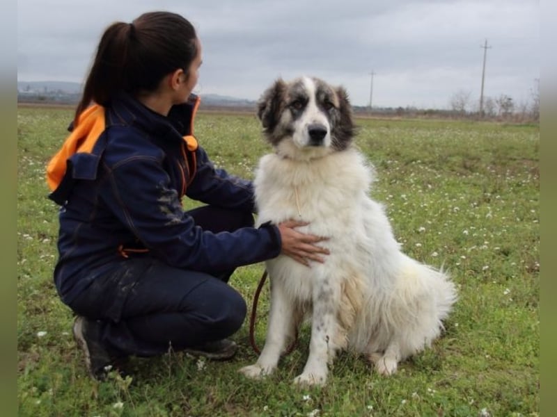 Poncio - wird zum Musterschüler