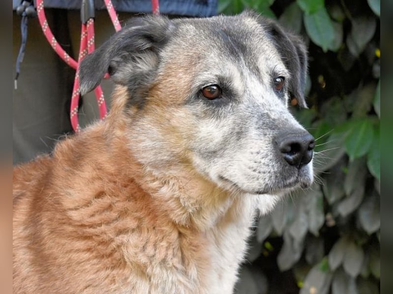 Matha - ...das war vor 5 Jahren... seitdem warte ich hier