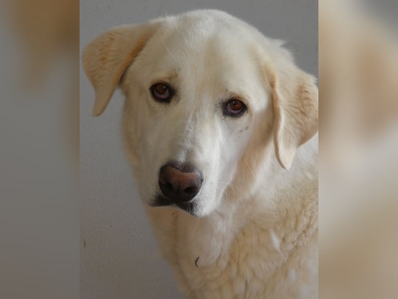 Clara - Wenn du es uns doch erzählen könntest