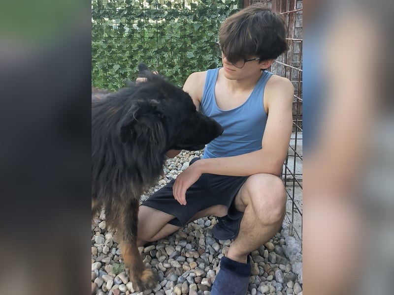 CAIUS - großer Hund, großes Herz CAIUS - großer Hund, großes Herz