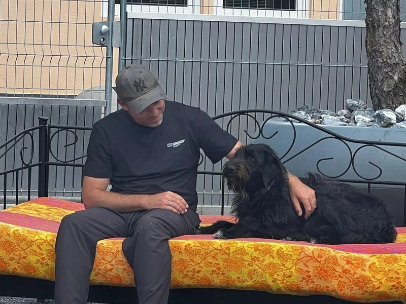 ZORO - sozialverträglicher Rüde sucht liebevolles Zuhause