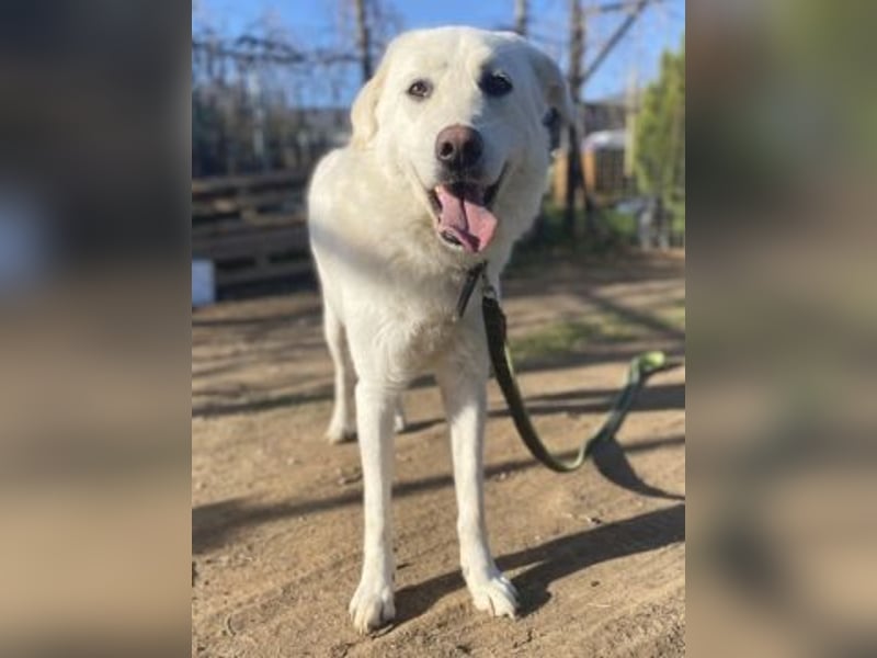 Lio - jung, hübsch sucht Anschluss