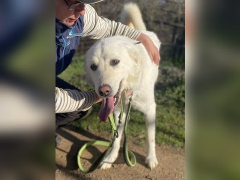 Lio - jung, hübsch sucht Anschluss