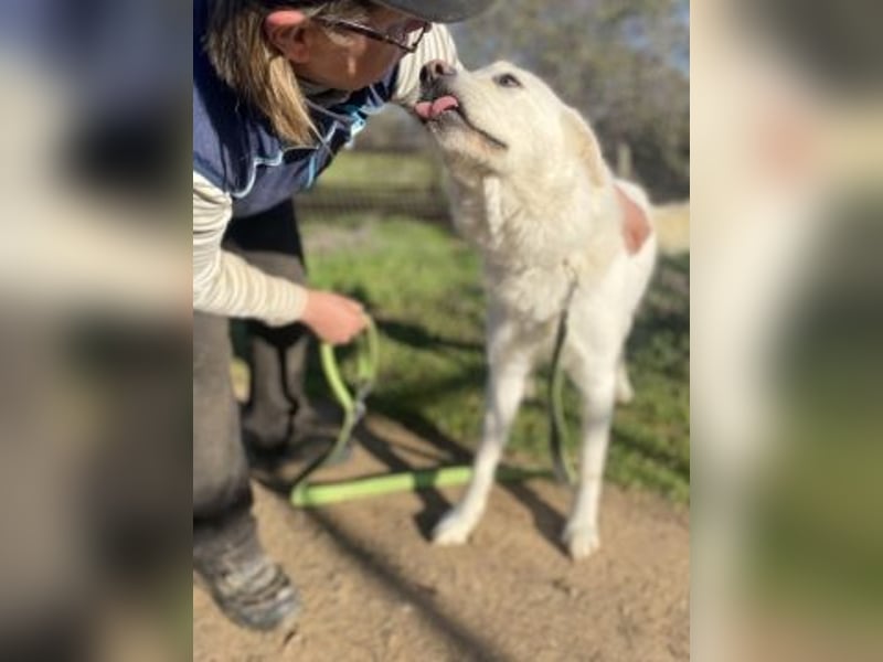 Lio - jung, hübsch sucht Anschluss