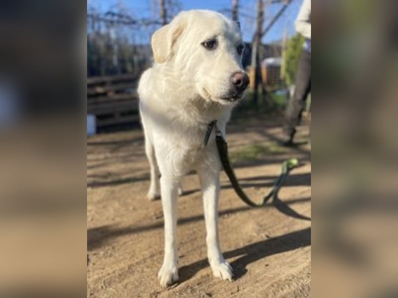 Lio - jung, hübsch sucht Anschluss