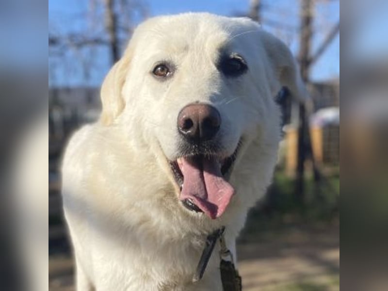 Lio - jung, hübsch sucht Anschluss