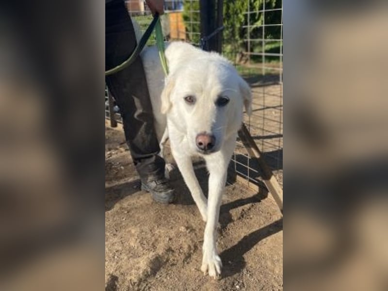 Lio - jung, hübsch sucht Anschluss