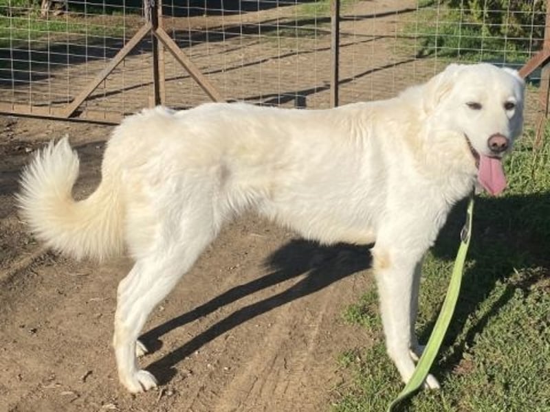 Lio - jung, hübsch sucht Anschluss