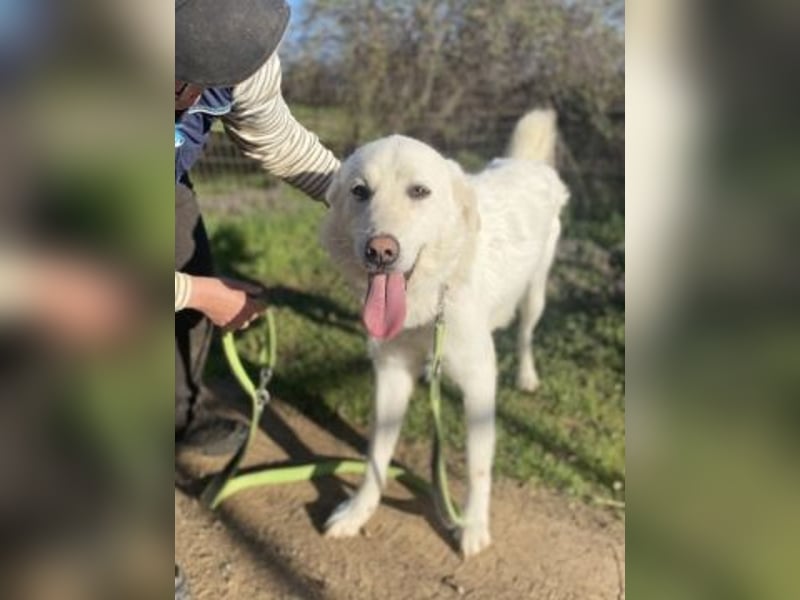 Lio - jung, hübsch sucht Anschluss